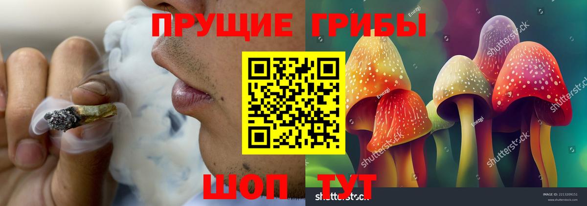 Губкинский  Галлюциногенные грибы GOLDEN TEACHER  Вход с VPN  Галлюциногенные грибы Magic Shrooms 