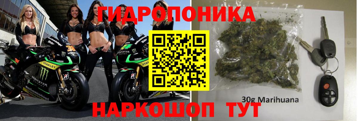 Бошки марихуана марихуана Губкинский
